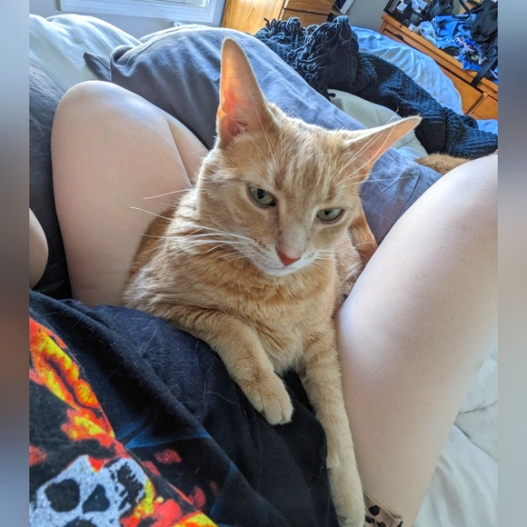 PLANNING TO MOVE, PLS SHARE AND READ - Picture 1 of 1